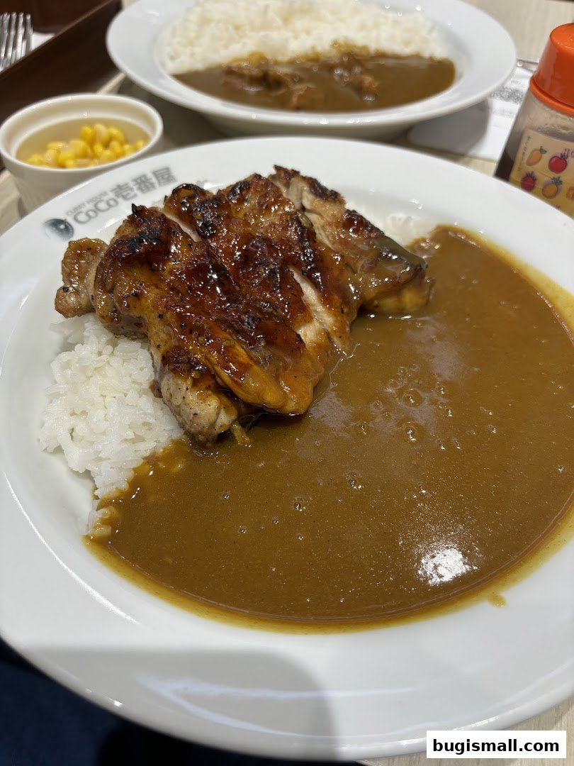 CoCo Ichibanya: Delicious Japanese Curry Delights!