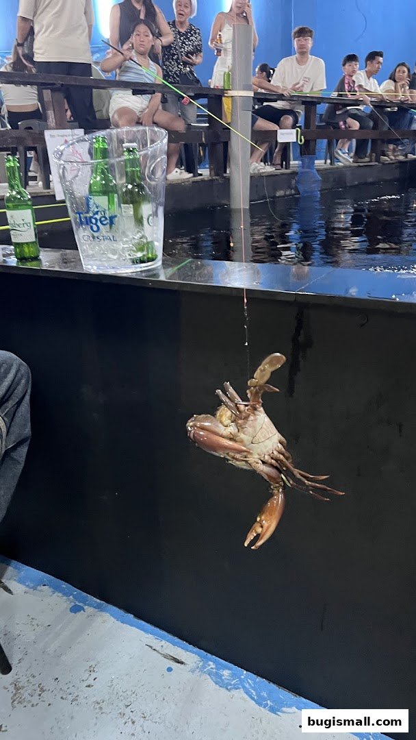 Catch Your Own Crab Adventure!