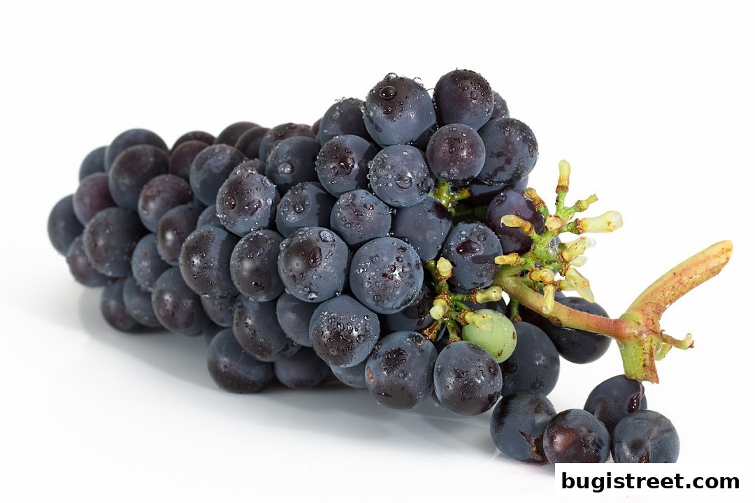 Fresh Grapes: Juicy and Delicious!