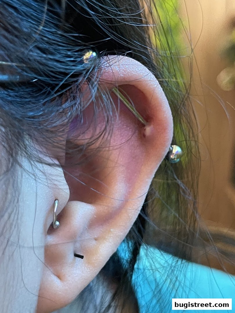 Stylish Ear Piercings by Bugis Tattoo