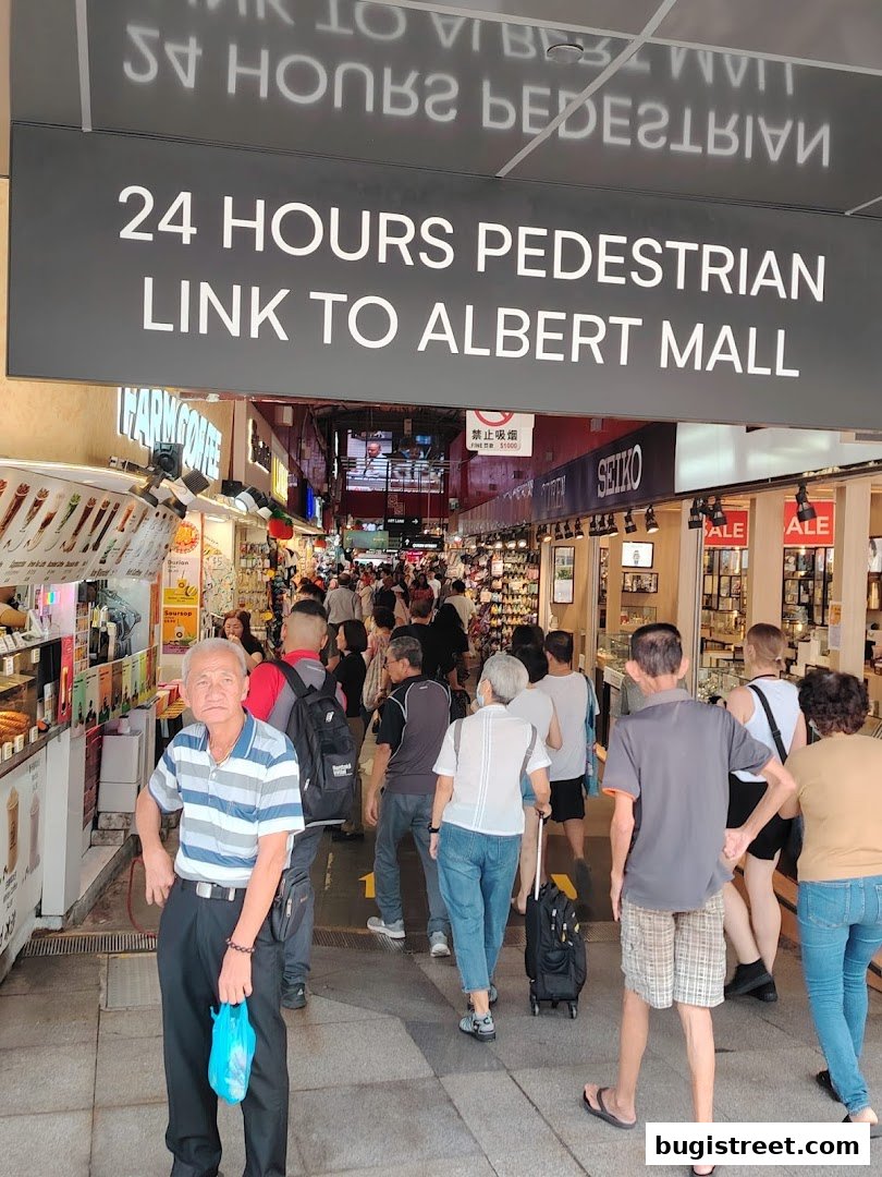 Explore the 24-Hour Pedestrian Link to Albert Mall!