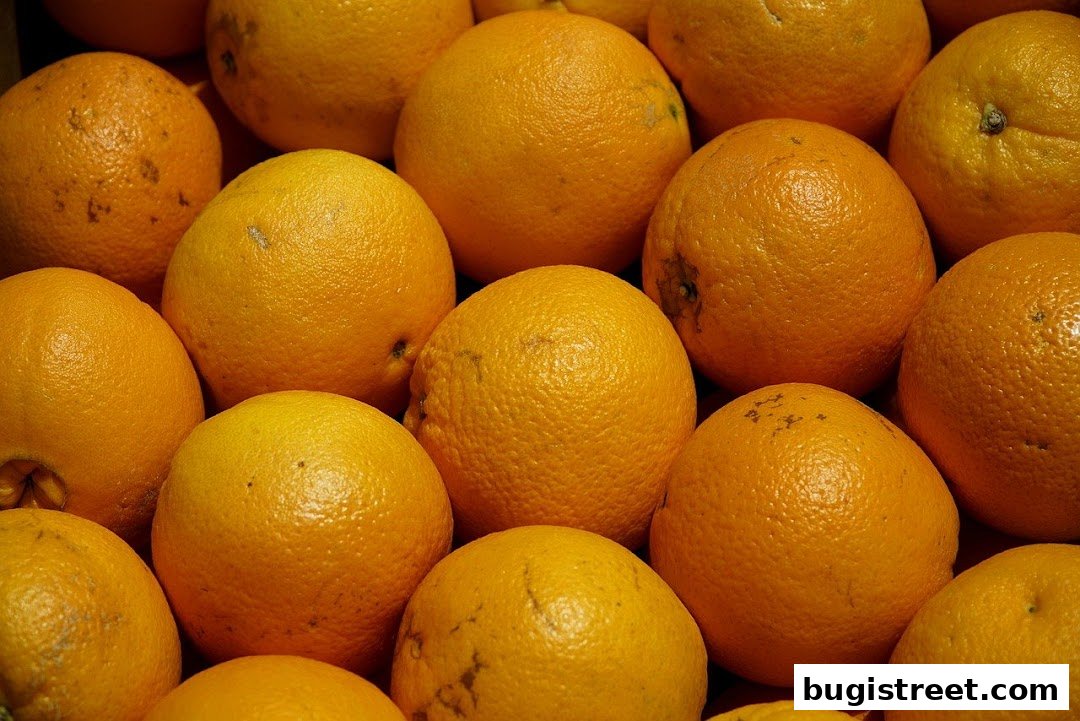 Fresh Oranges at Lian Hua Chun Fruits