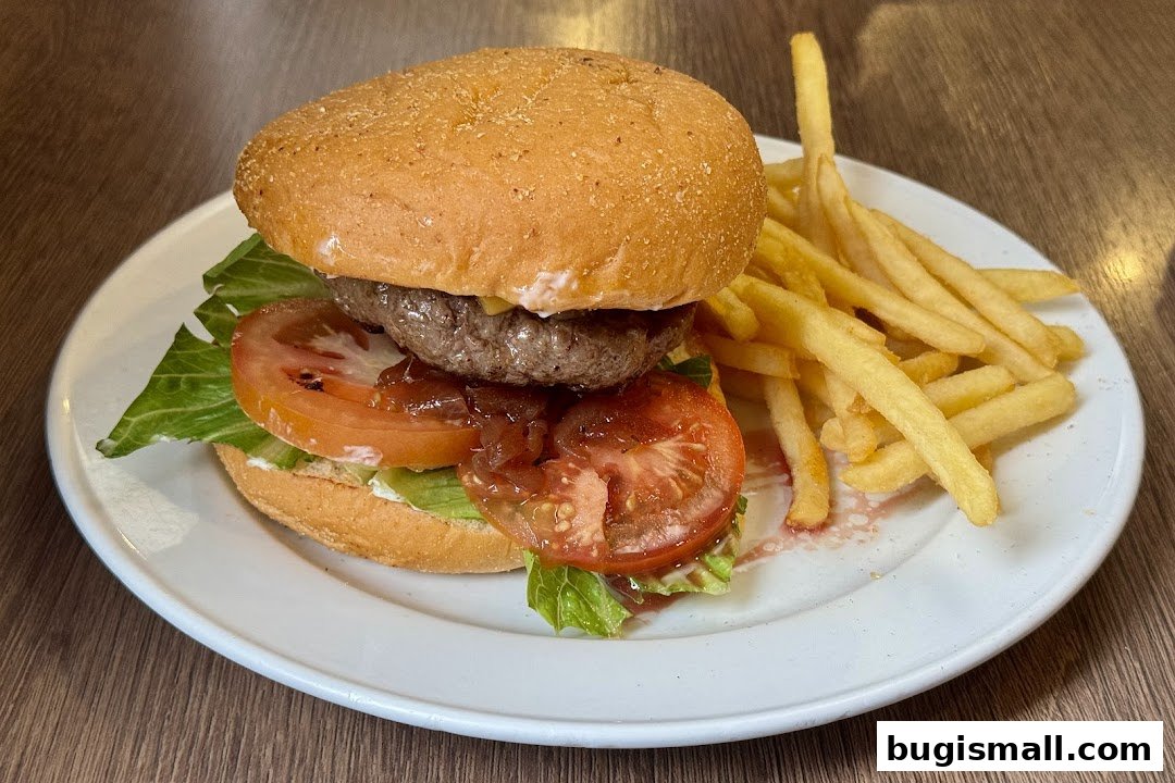 Delicious Burger and Fries Combo at ASTONS!