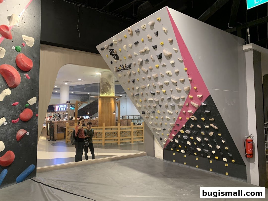 Boulder Movement: Climb Your Limits!