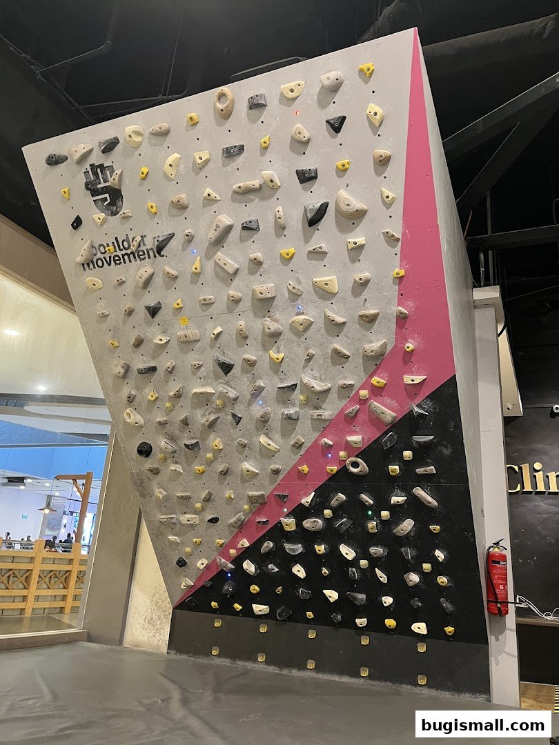 Boulder Movement: Conquer the Climbing Wall!