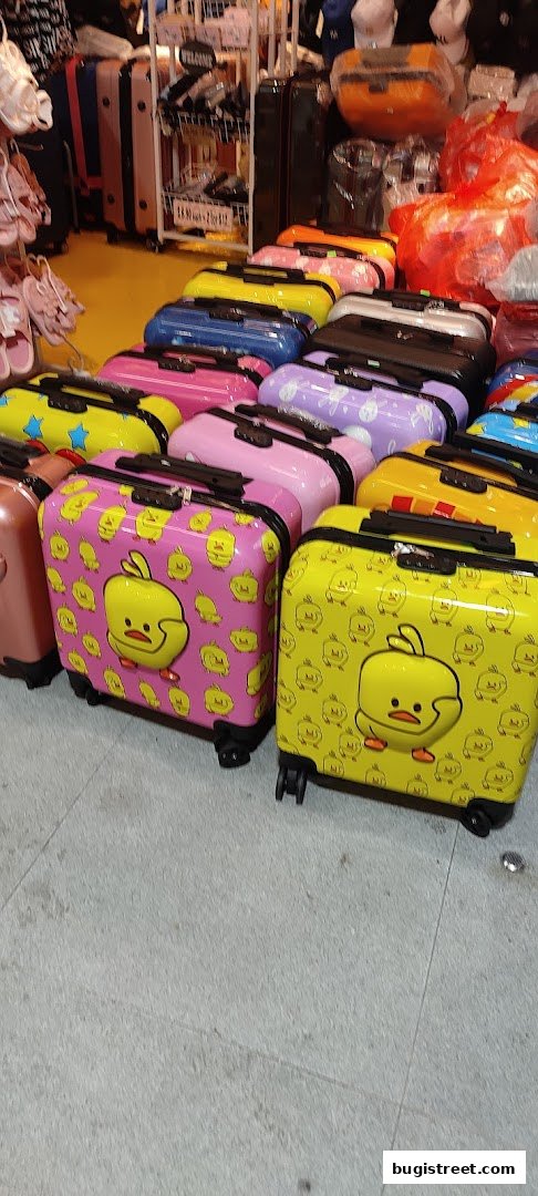 Fun & Fashionable Luggage for Every Traveler!