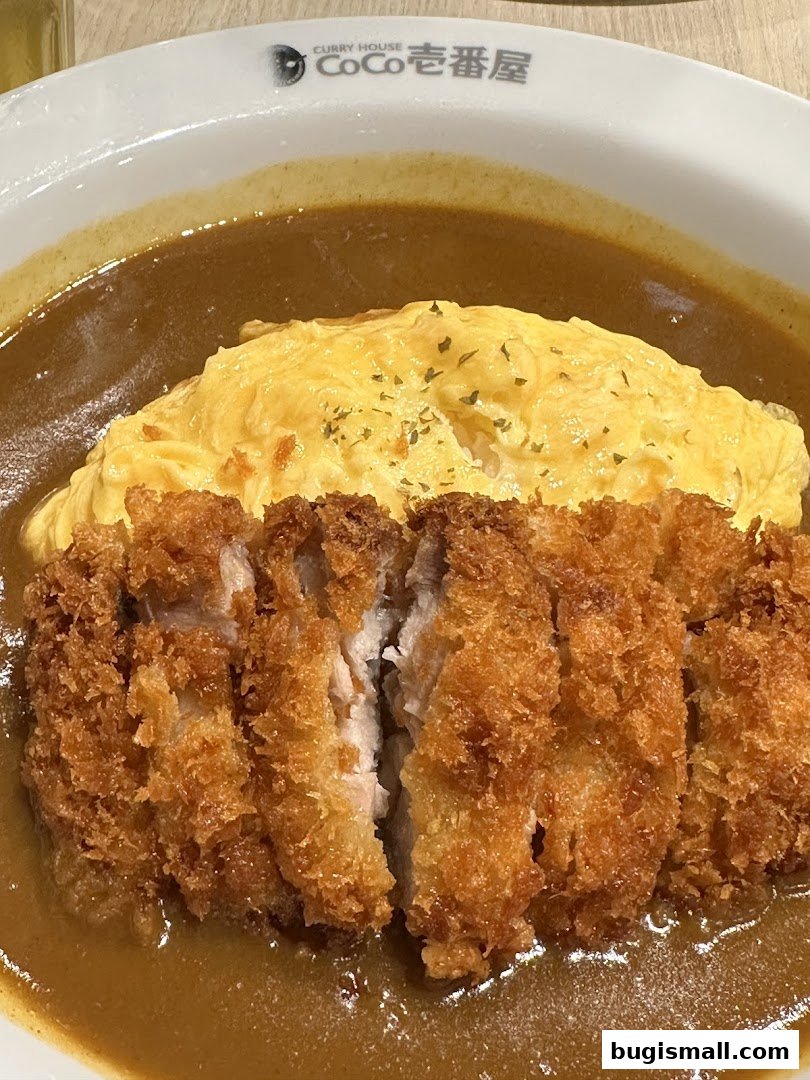 CoCo Ichibanya: Savory Japanese Curry Delights!