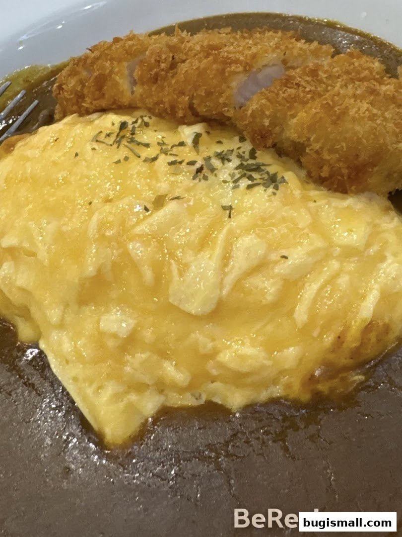 CoCo Ichibanya: Savory Japanese Curry Delights!