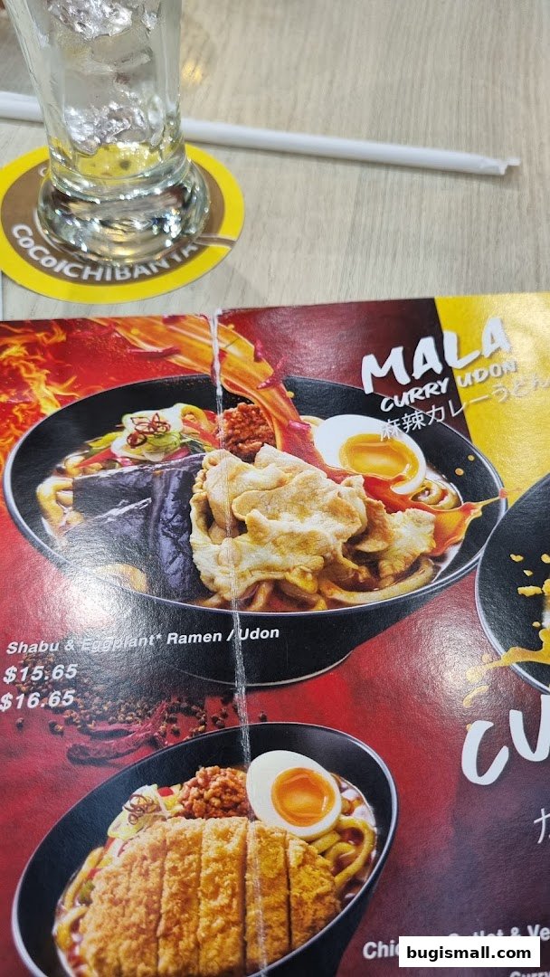 Savor Spicy Mala Curry Udon at CoCo Ichibanya!
