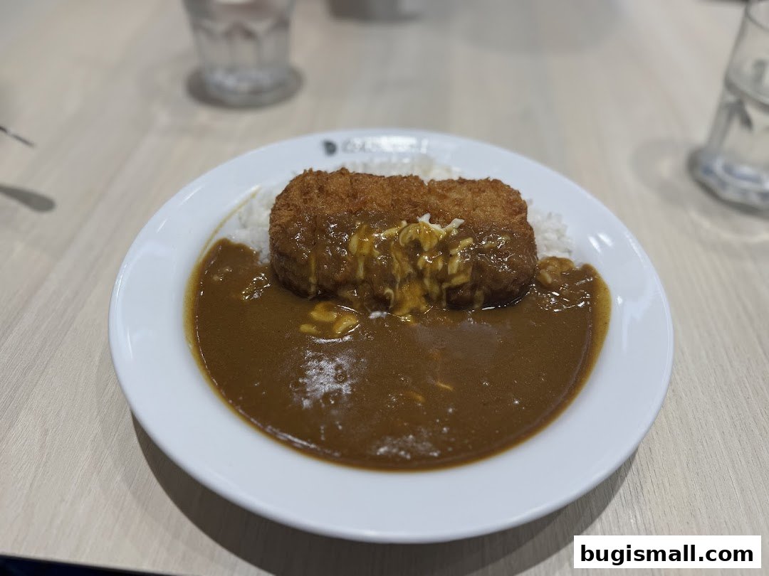 Savor Delicious Japanese Curry at CoCo Ichibanya!