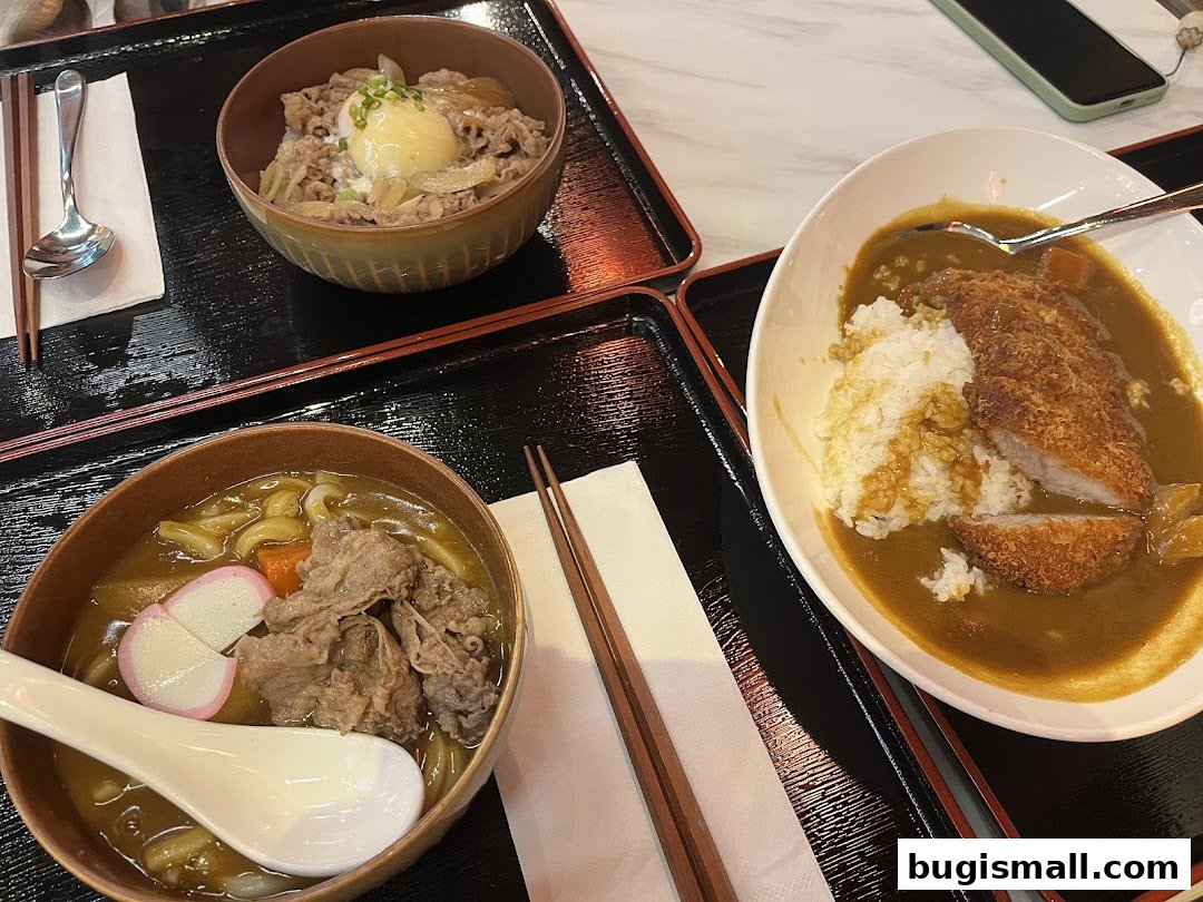 CoCo Ichibanya: Savory Japanese Curry & Udon Delights