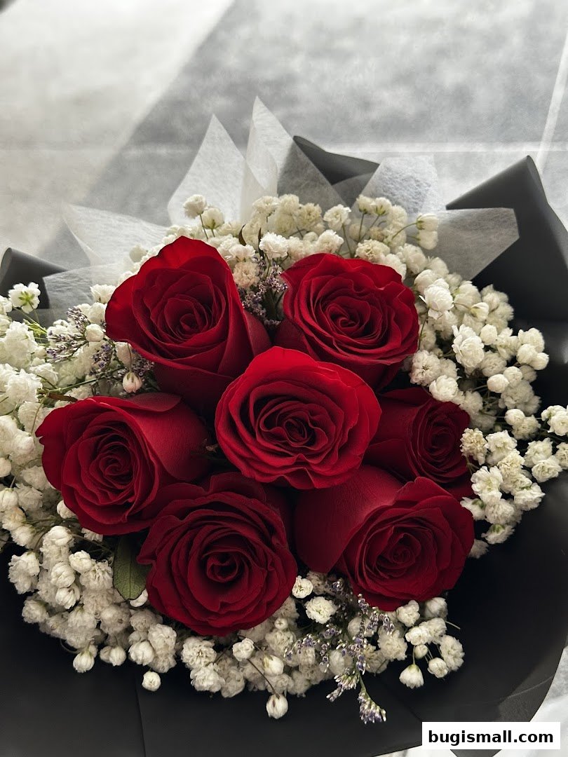 Stunning Red Rose Bouquet from Cool Petals
