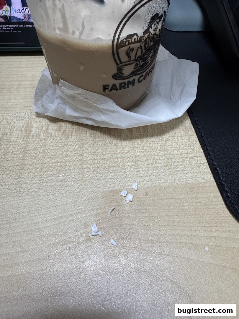 Farm Coffee: Refreshing Cold Brews