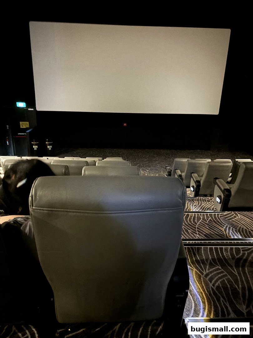 Experience Movies at Golden Village - GV Bugis!