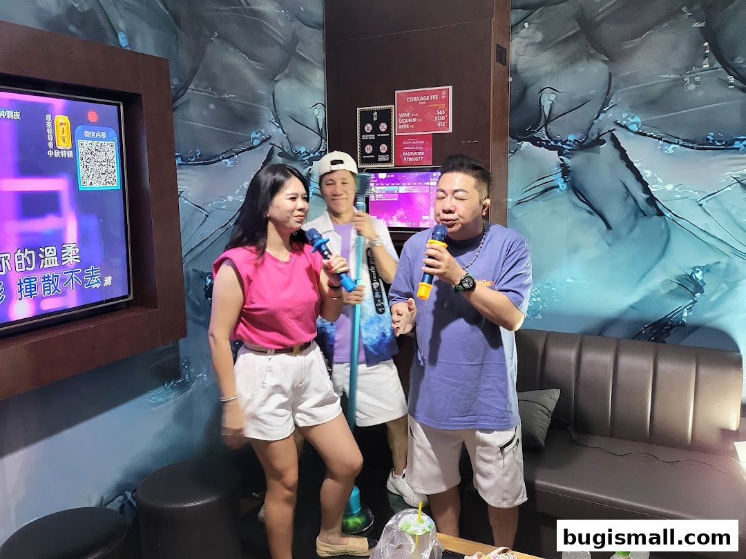 Sing Your Heart Out at HaveFun Karaoke!