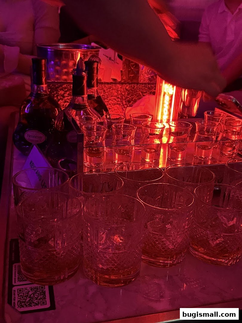 Cheers to Fun Nights at HaveFun Karaoke!