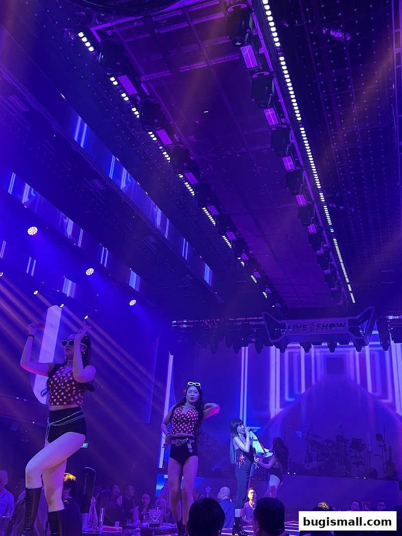Experience Live Entertainment at HaveFun Karaoke!