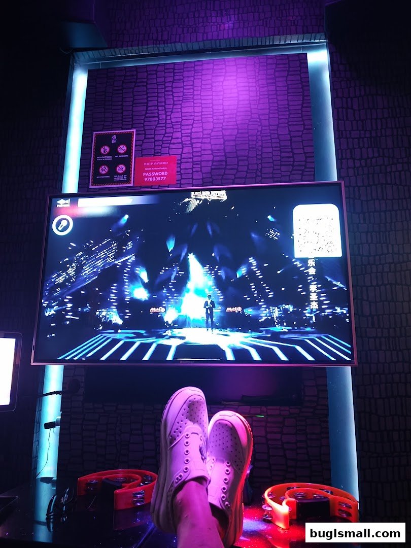 Sing Your Heart Out at HaveFun Karaoke!