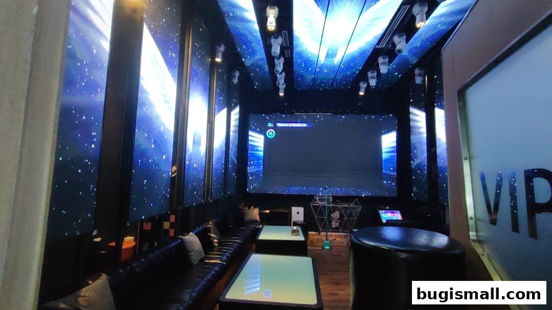 Experience VIP Karaoke Nights!