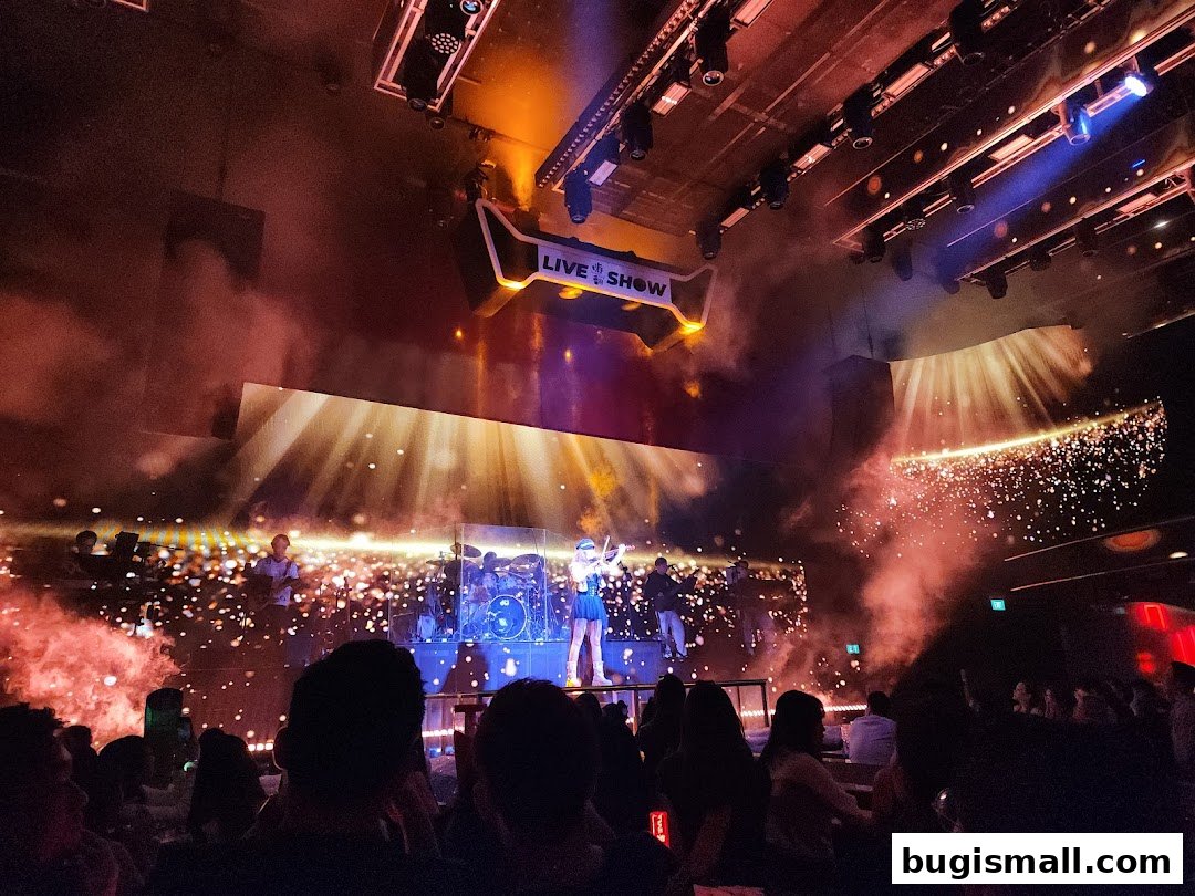 Experience Live Entertainment at HaveFun Live Show!
