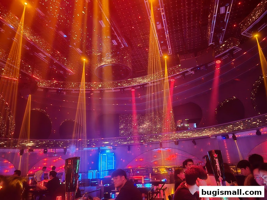 Experience the Nightlife at HaveFun Live Show!