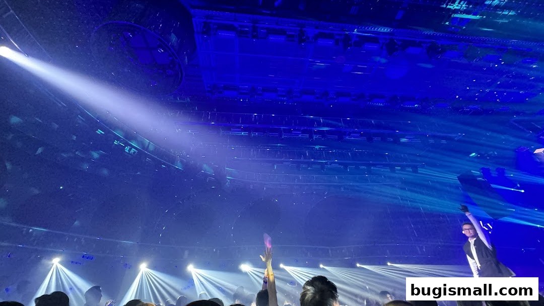 Experience Live Entertainment: HaveFun Live Show!