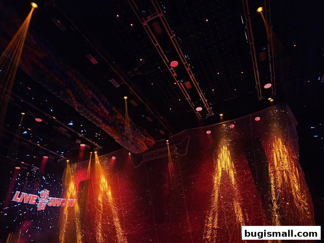 Experience the Excitement of Live Shows!