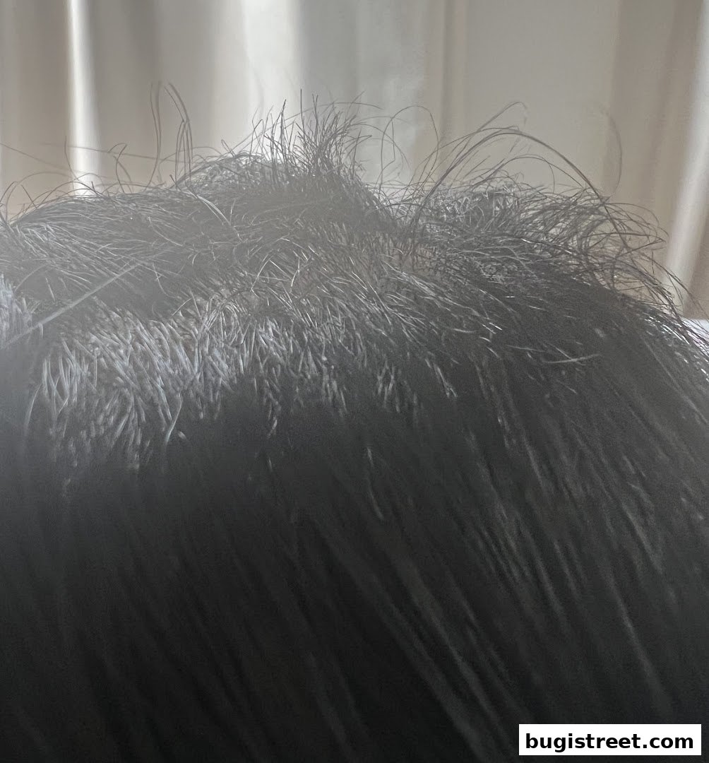 I.M.SALON