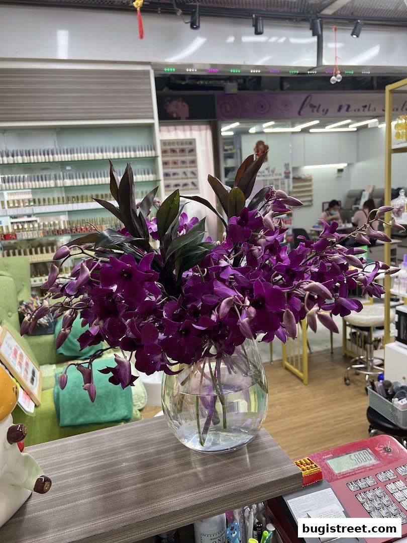 Jasmine Artistry Nails: Elegant Nail Services