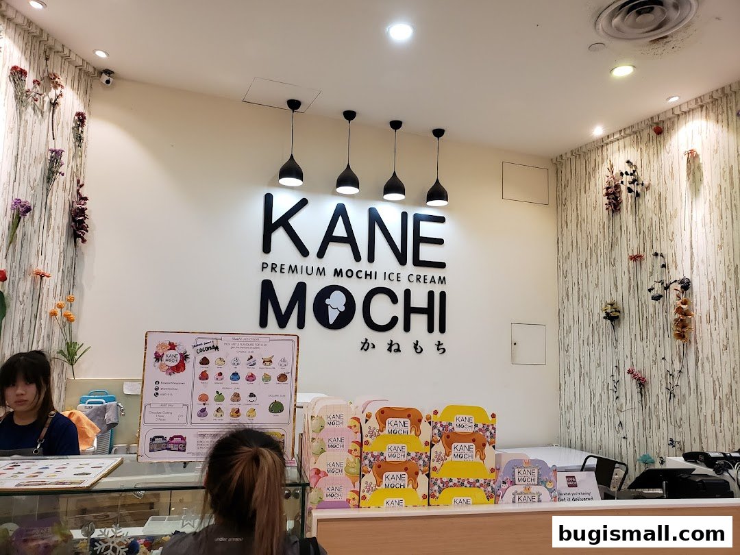 Kane Mochi: Premium Mochi Ice Cream Delights