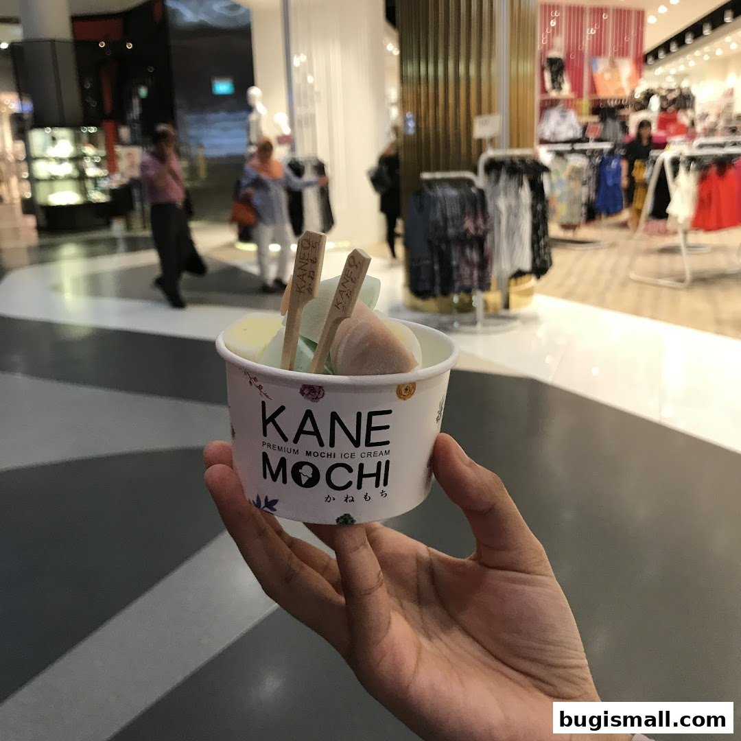 Indulge in Kane Mochi's Premium Mochi Ice Cream!
