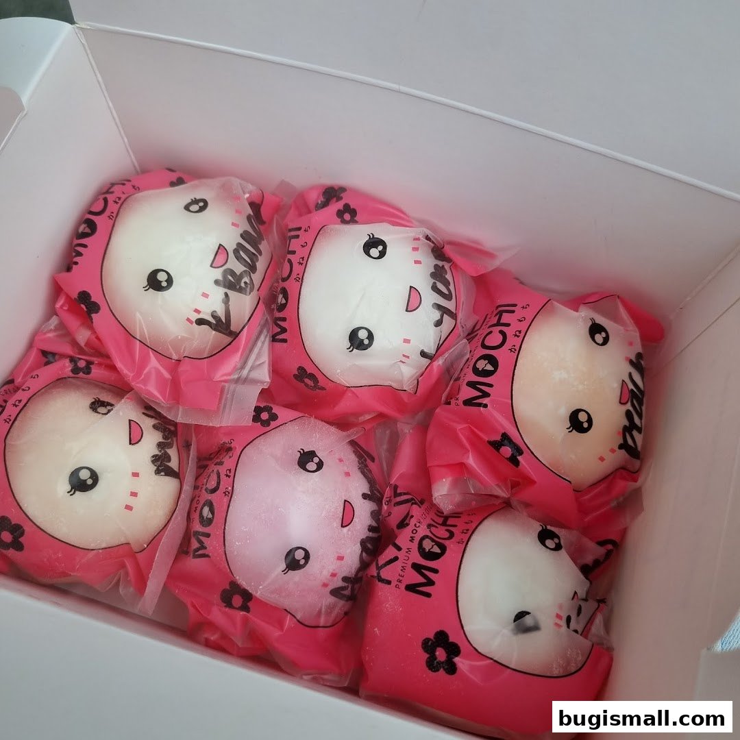 Adorable Mochi Delights from KANE MOCHI!