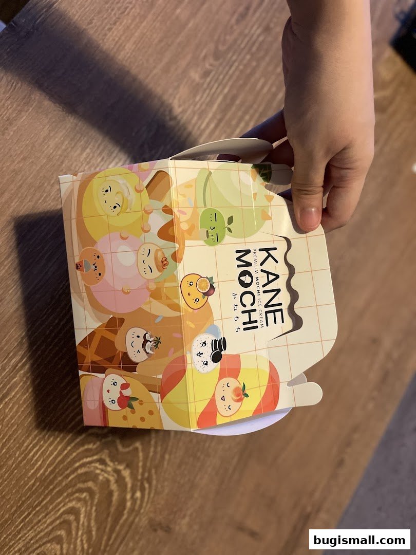 Kane Mochi: Adorable Mochi Ice Cream Treats!