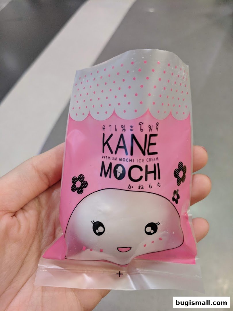 Indulge in Kane Mochi's Premium Mochi Ice Cream!