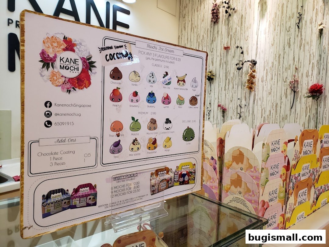 Kane Mochi: Delicious Mochi Ice Cream Flavors!