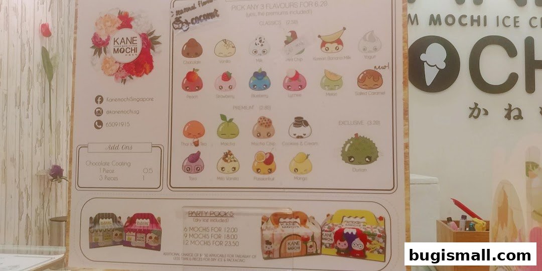Kane Mochi: Delicious Ice Cream Mochi Flavors!