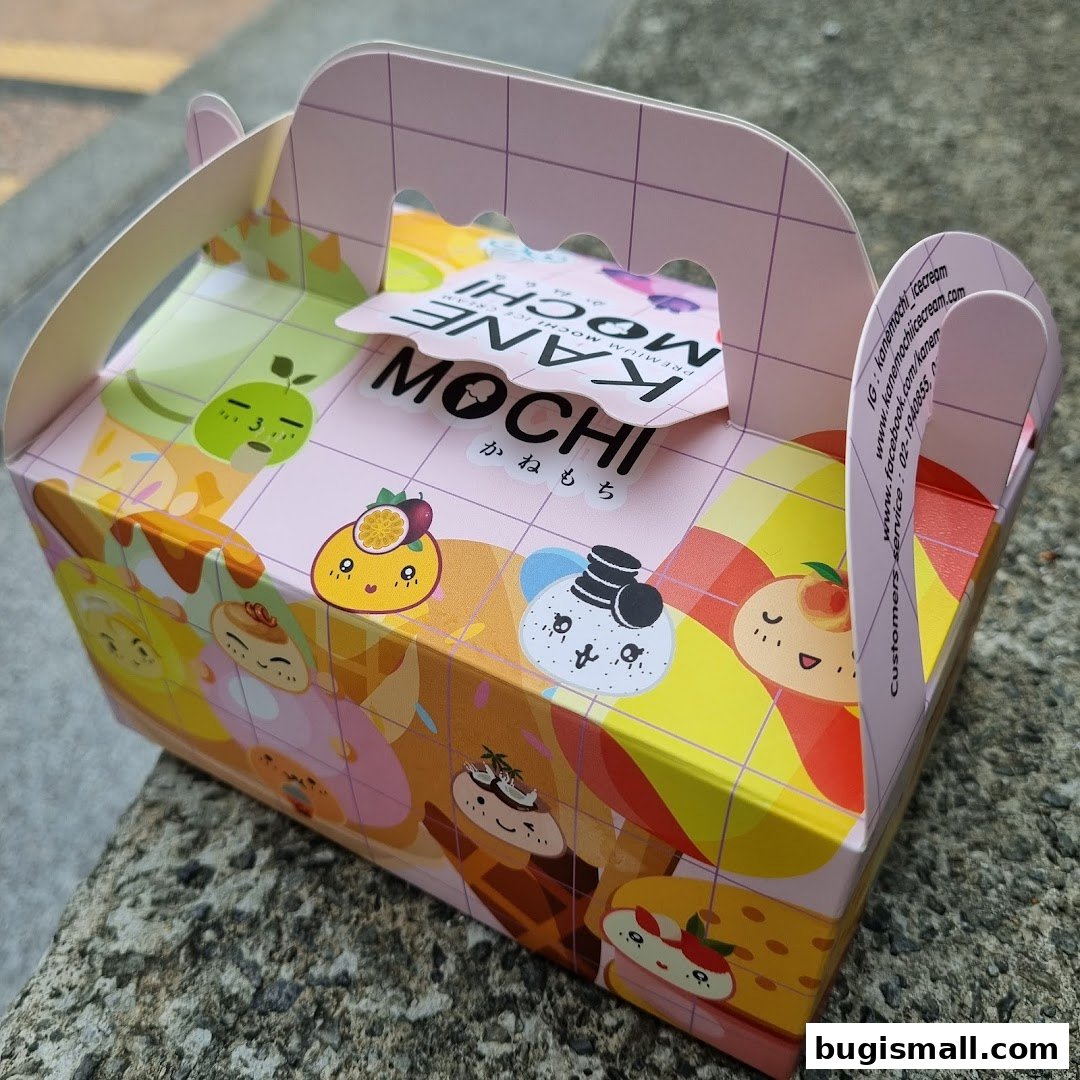 KANE MOCHI: Adorable Mochi Ice Cream Gift Box!