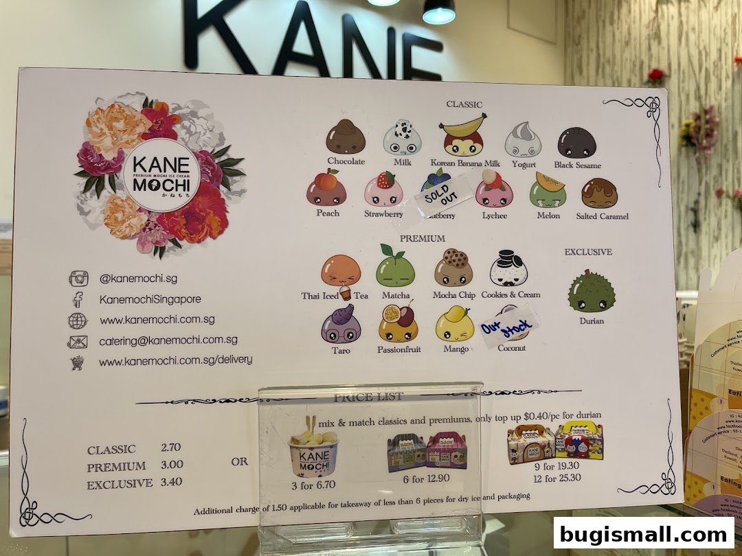 KANE MOCHI: Delicious Mochi Ice Cream Flavors!