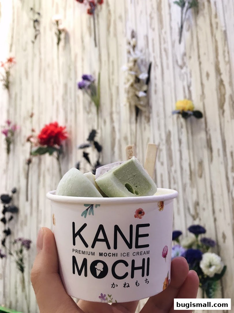 Indulge in Kane Mochi's Premium Ice Cream Delights!