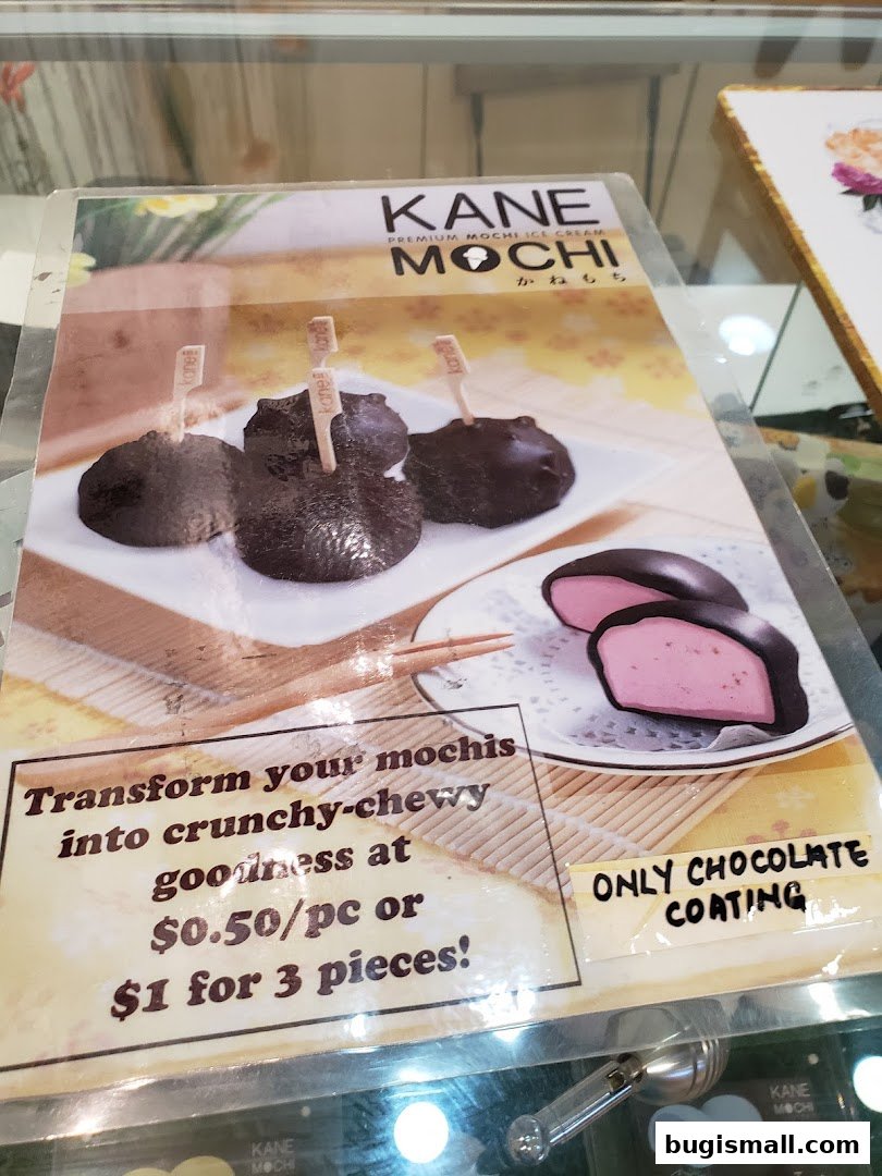 Indulge in Kane Mochi's Chocolate Coated Delights!