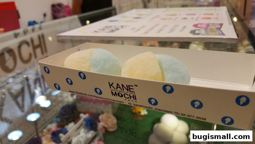 Delicious Mochi Ice Cream from Kane Mochi!