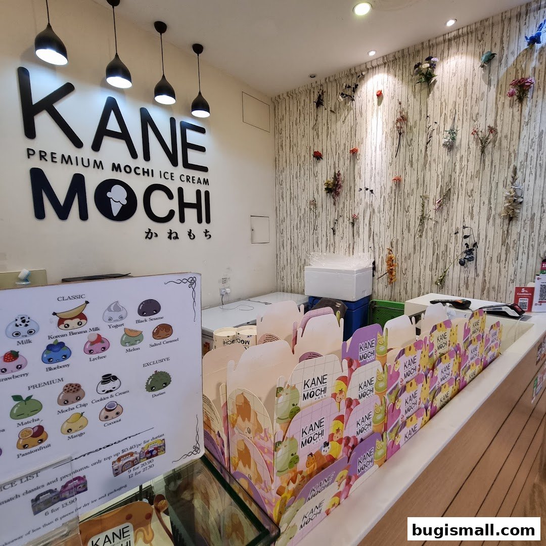 Kane Mochi: Delicious Premium Mochi Ice Cream!