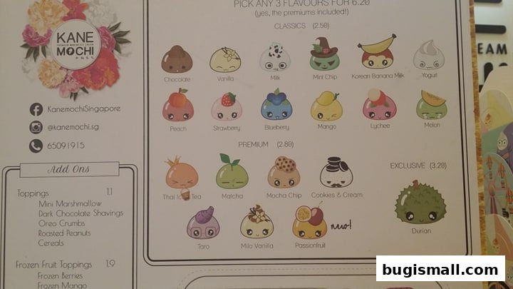 Kane Mochi: Adorable & Delicious Mochi Flavors!