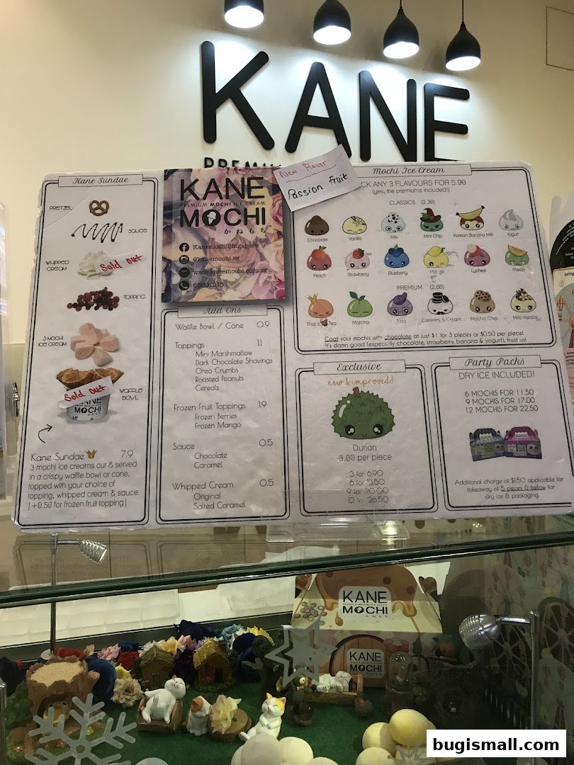 Kane Mochi: Delicious Mochi Ice Cream Creations!