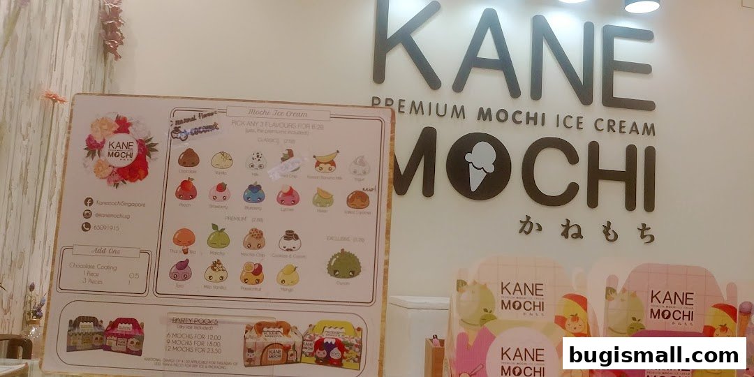 Kane Mochi: Delicious Mochi Ice Cream Flavors!