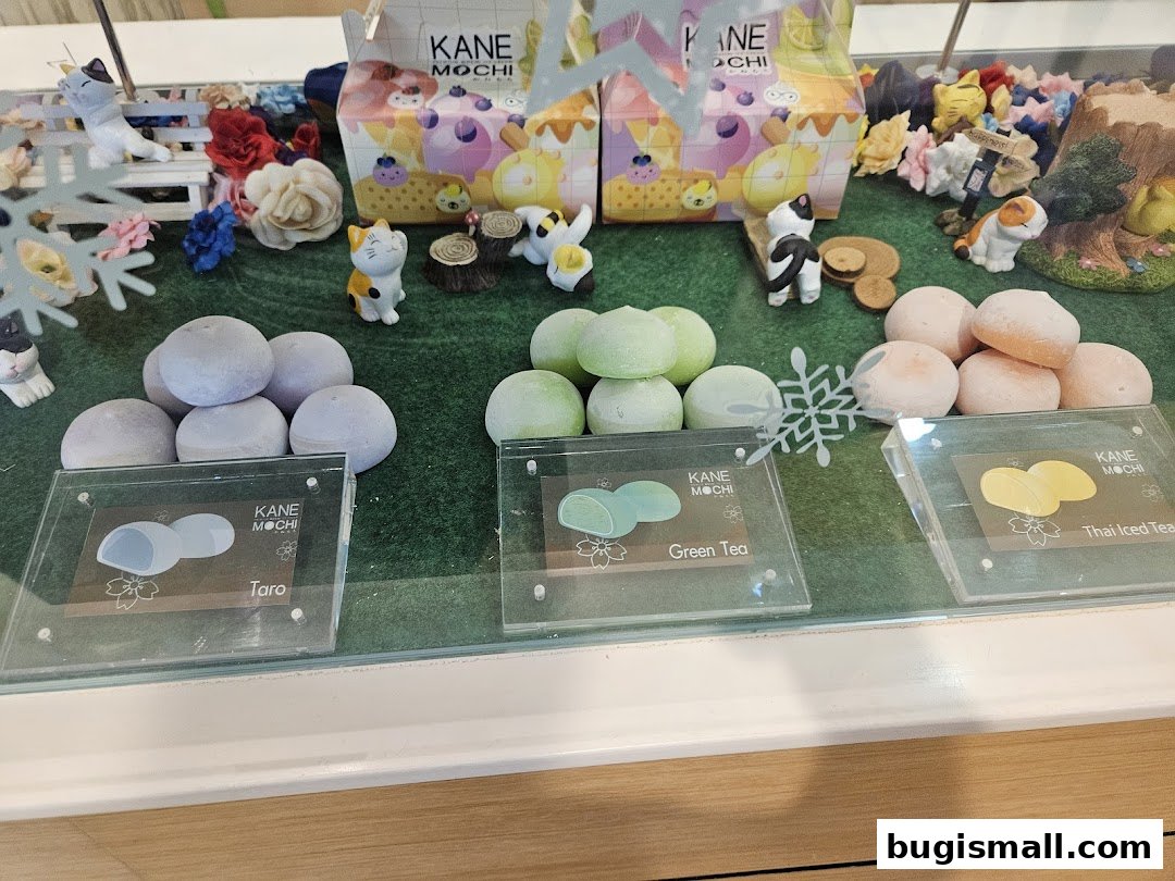 KANE MOCHI: Delightful Mochi Treats!