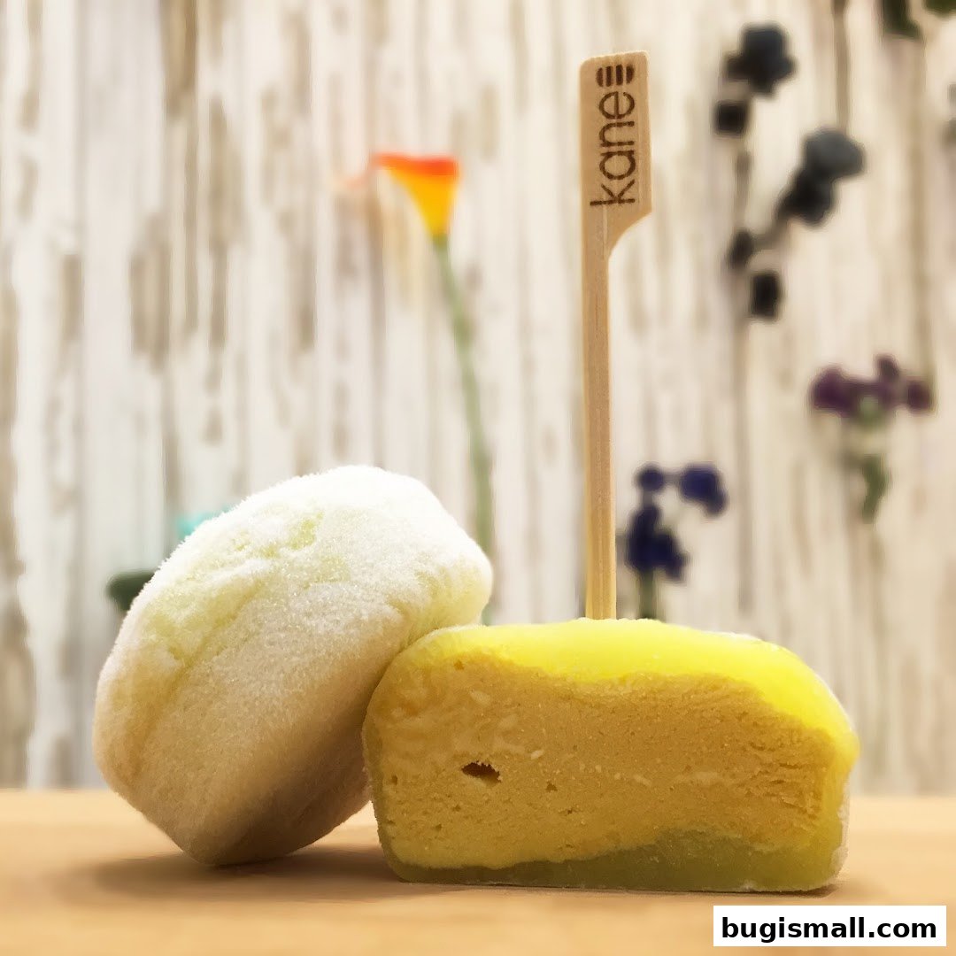Delicious Mochi Delights from Kane Mochi