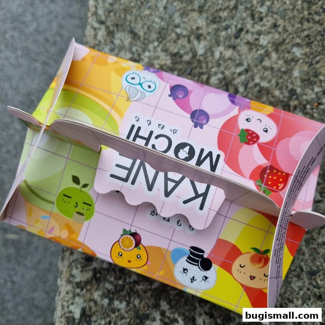 KANE MOCHI: Adorable Mochi Treats!