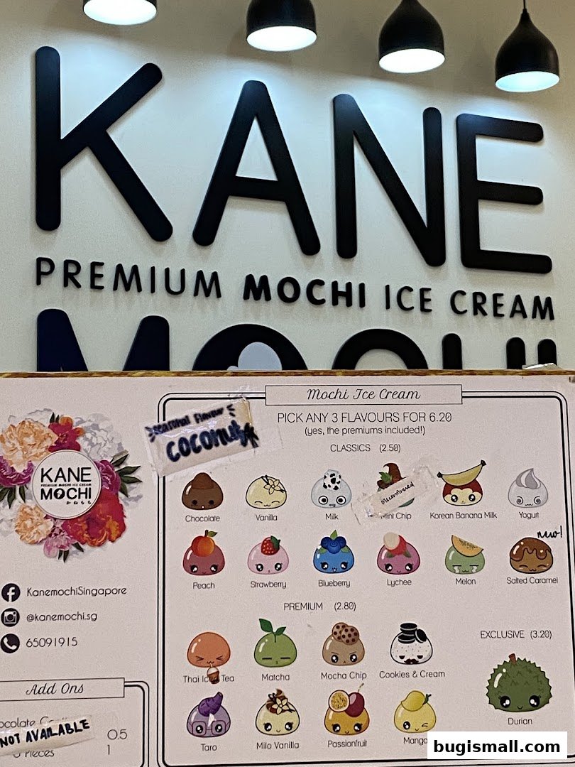 Kane Mochi: Delicious Premium Mochi Ice Cream Flavors!