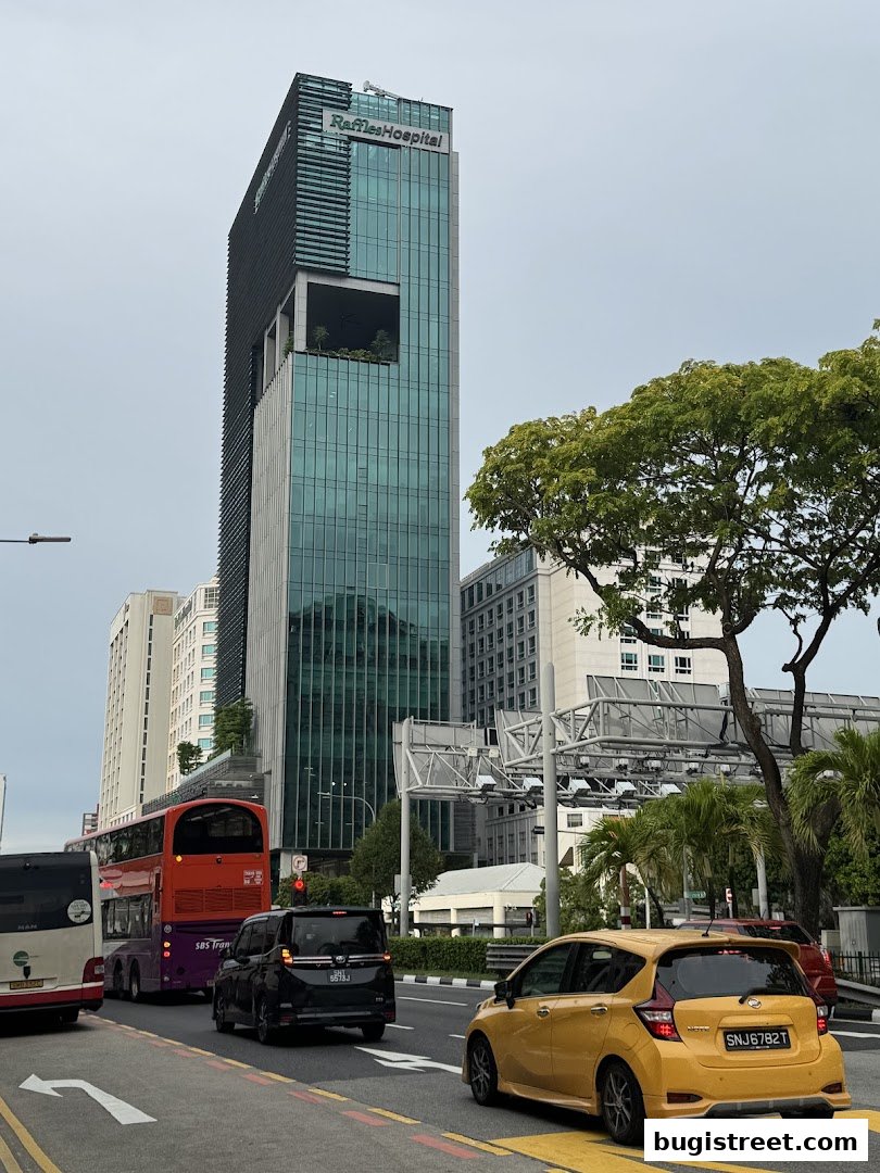 Raffles Hospital: Modern Architecture and City Views